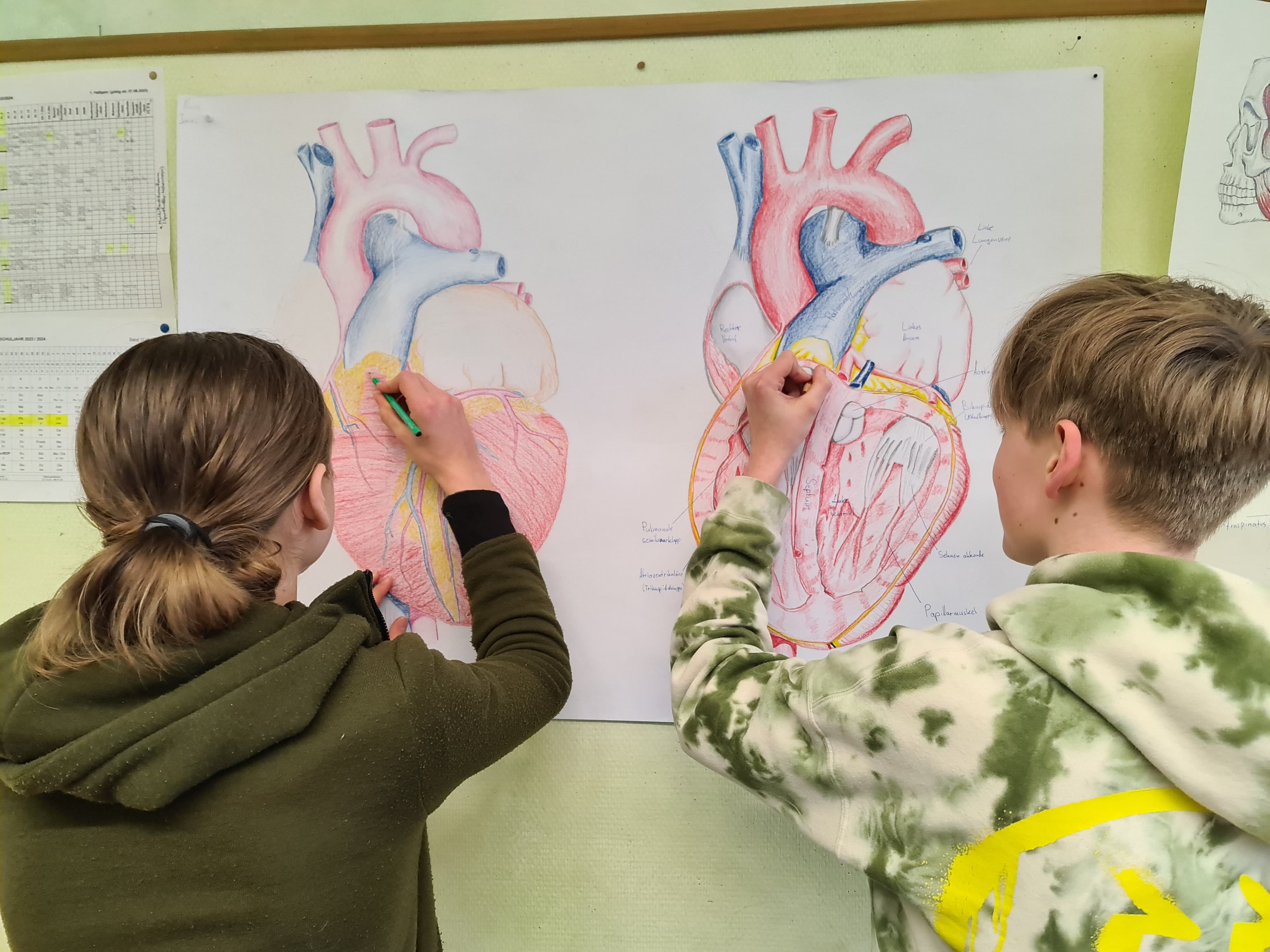 Vielfältige Fächer an der Waldorfschule Detmold